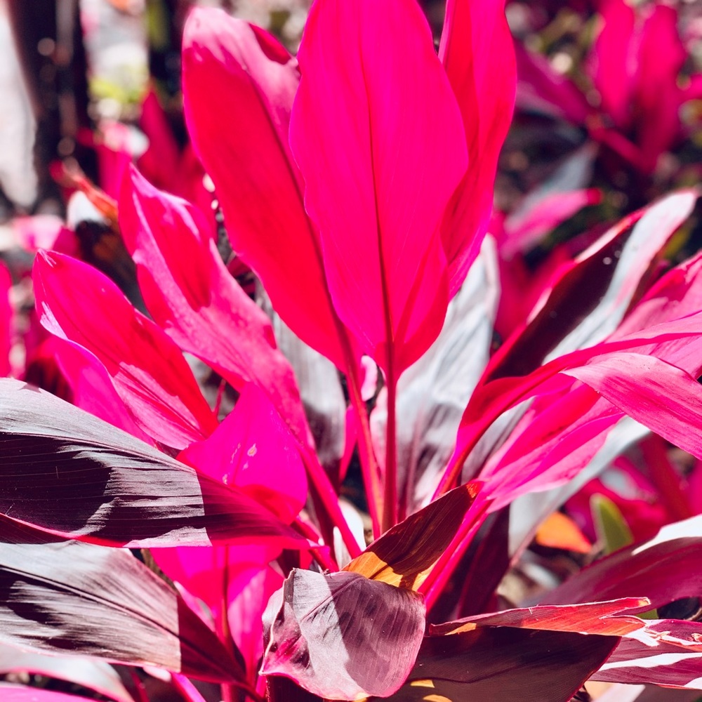 Smoke free home! Selling my own closet.